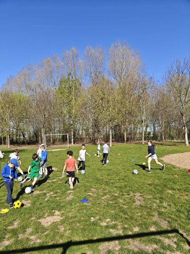 Kinderen lopen en spelen op een grasveld